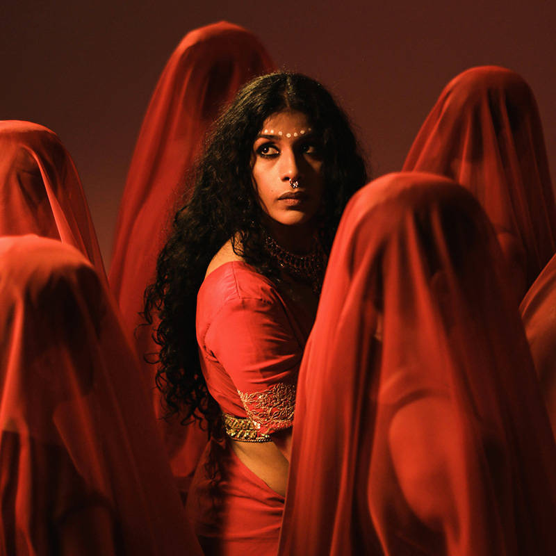 Avatar of Fatima Zahra